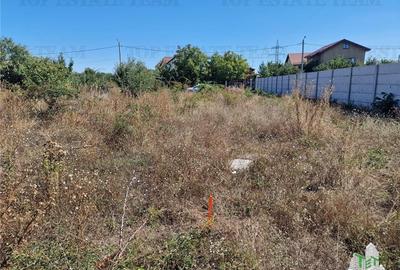 Teren 1491 mp in zona rezidentiala din Ciorogarla Teren 1491 mp in zona rezidentiala din Ciorogarla - 6