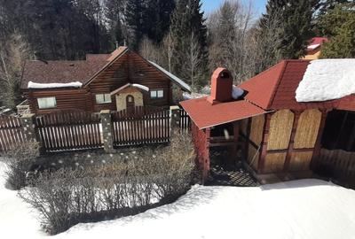 Casa de vacanta sau pensiune situata langa Cabana Trei Brazi Predeal - 32