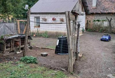 Casă cu 2 camere cu Teren 700 Mp în Saschiz - 5