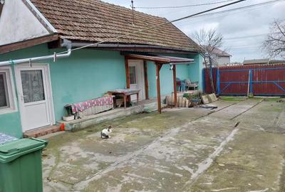 Casă cu 4 camere cu Teren 2300 Mp în Cenad - 3