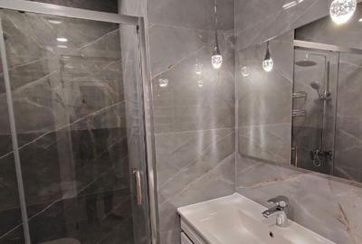 De inchiriat apartament o camera - 5