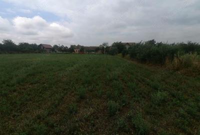 Bucovat - Teren intravilan -loc de casa - 1095 mp -Front 17m - 2