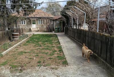 Casă cu Teren 1370 Mp în Central - 2