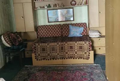 Casa si teren ideal pentru legumicultura - 6