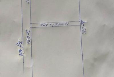 Teren de 10000 mp, în Lipia - 3