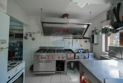 Oportunitate de investitie, Restaurantul Piatra Graitoare,Vartop,Bihor - 8