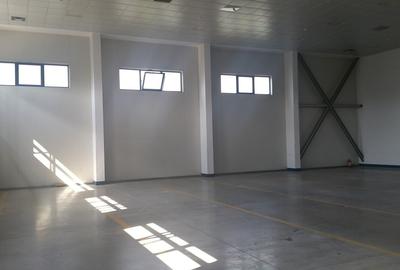 Spațiu comercial, de 700 mp, în Central - 2
