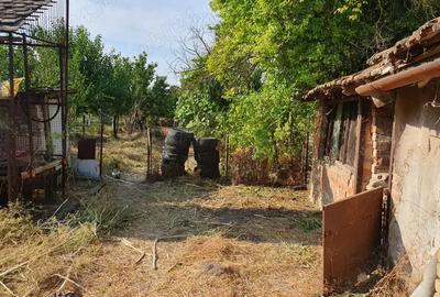 Vand casa cu gradina - 4