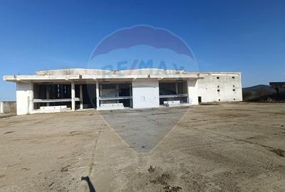 Spațiu industrial, de 5,000 mp, în Niculițel - 6