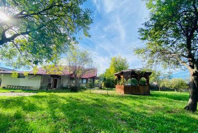 Casa superba Valenii de Munte , Teren Generos 2031 mp ! - 14