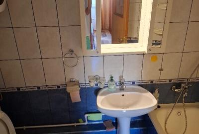 Apartament 2 camere decomandate Teiul Doamnie-Lacul Tei - 8