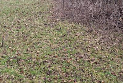 Spațiu comercial, în Bran - 1