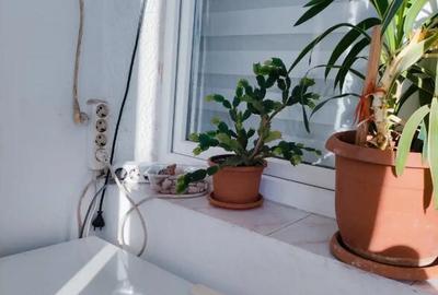 Apartament cu 2 camere decomandat, mobilat în Brâncoveanu - 2