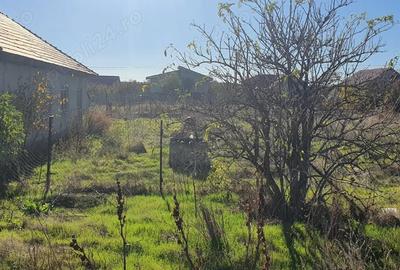 Vand casa cu teren in Tirgusorul,Constanta - 4