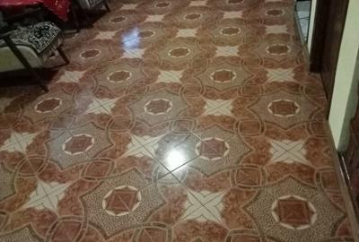 Casă cu 2 camere cu Teren 240 Mp în Sighetu Marmației - 7