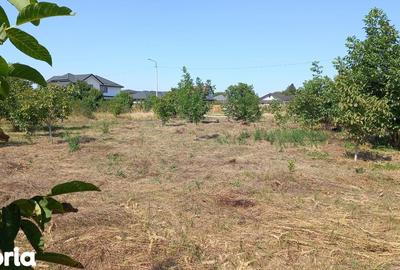 Teren de 877 mp, în Crevedia