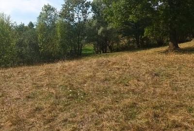 Teren de vanzare Coebeni-Turburea-Arges - 3