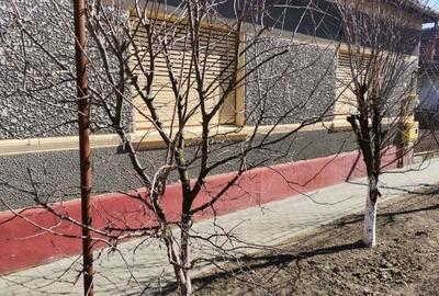 Casă cu 4 camere în Chișineu-Criș - 3