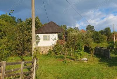 Casa 64 mp util, 2 camere + hol mare refacut, 4.100 mp intravilan - 7