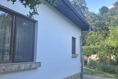 Casă cu 4 camere în Târgu Cărbunești - 3
