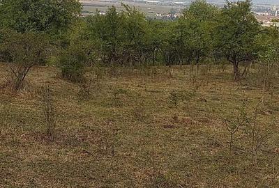 Teren de 4600 mp, în Central - 5