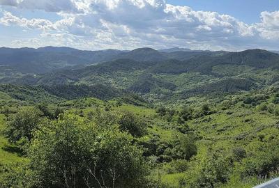 Casă cu Teren 2500 Mp în Poiana Pletari - 4