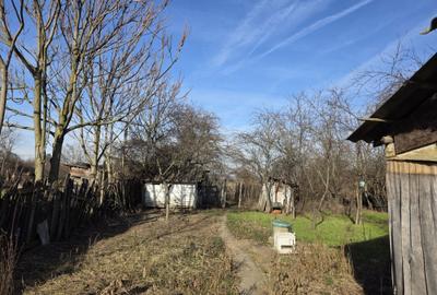 Spațiu comercial, în Lipia - 3