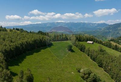 Teren Panoramic in Bran Vedere spre Bucegi & Piatra C... - 12
