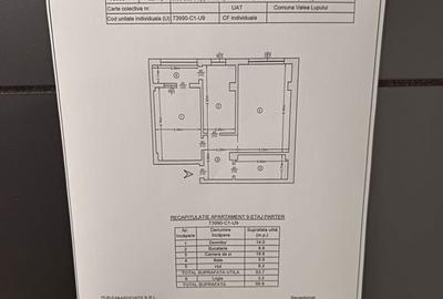 Apartament cu 2 camere decomandat în Valea Lupului - 19