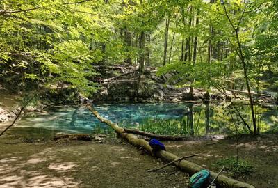 Casa tradi?ionala din piatra de vanzare, zona Cheile Nerei - 7
