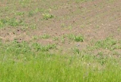 Teren extravilan Cocorastii Colt ; ID: R2710069 - 3