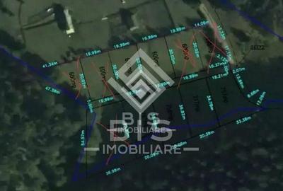 Teren de 6000 mp, în Sud