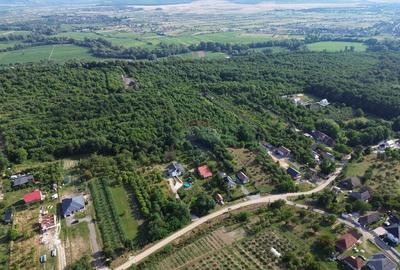OPORTUNITATE PENTRU DEZVOLTATORI Teren de vanzare Sa... - 9