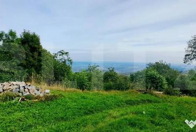 Teren de 1710 mp, în Feleacu - 4