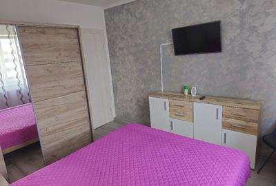 Apartament cu 2 camere în Roșu