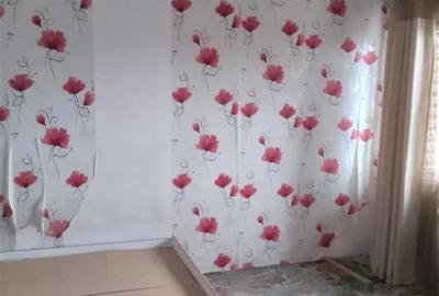 Apartament 3 camere parter Nicolina - 5