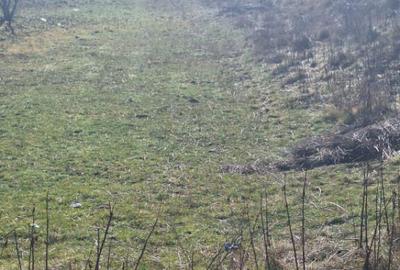 Oportunitate investi?ie | Teren 2400 mp Darmane?ti, - 1