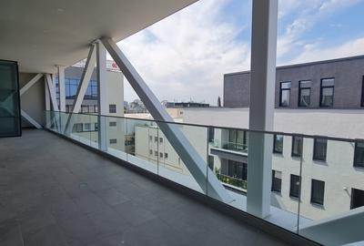 AVIATIEI - WALTER LOFT SPACE, FAZA FINALA, 3 CAMERE ULTRA-LUX 106 MP, TERASA 20! - 26