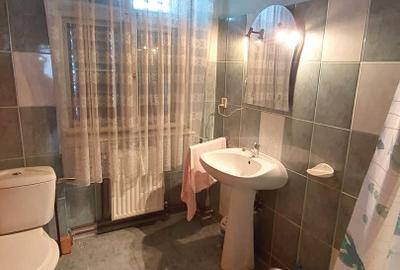 Casă individuală cu 5 camere cu Canalizare în Cisnădie - 15