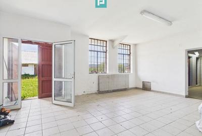 Hale 1800 mp fiecare – acces autostradă, Teiu, HD - 11