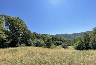 Teren de 45809 mp, în Mădrigești - 5