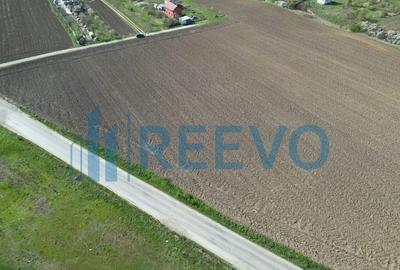 Teren de vanzare, Com. Nicolae Balcescu, Jud. Bacau - 4