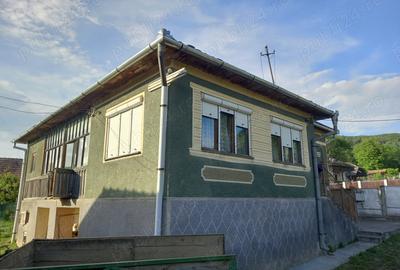 Casă cu 3 camere cu Teren 1000 Mp în Rusu de Sus - 4