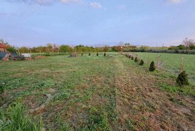 Casă cu 3 camere în Miersig - 9