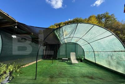 Casa cu 3 camere, zona Ruda Brad - 15