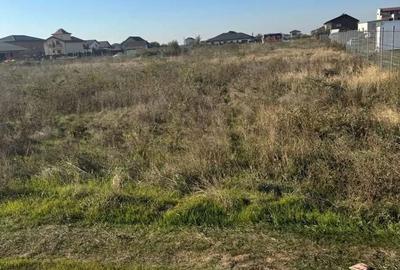 Spațiu comercial, în Măgurele - 4