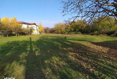 Teren de 1560 mp, în Poiana - 12