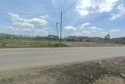 Teren de 5000 mp, în Balș - 3