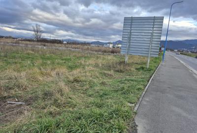 Teren Construcții intravilan de 2858 mp, în Stupini - 6