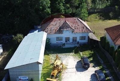 Spatiu comercial si casa de vanzare in Furnicosi. - 10